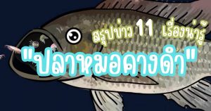 ข่าวปลาหมอคางดํา
